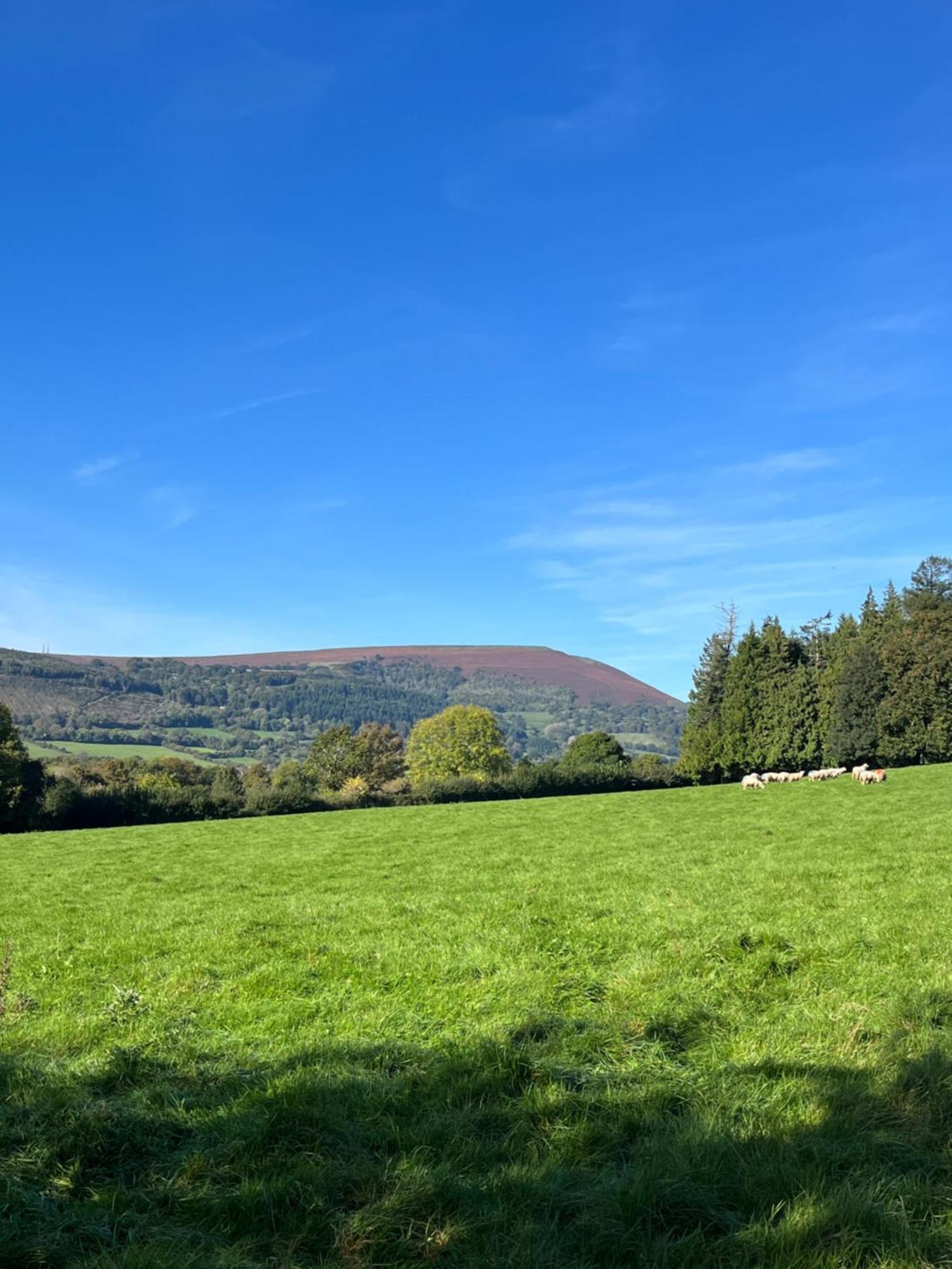 The Granary Villa Abergavenny Exteriör bild